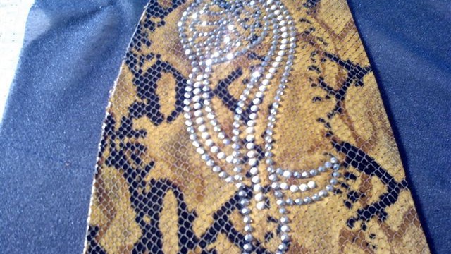 collection 2 strass+cut steel on python
